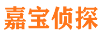 新龙侦探公司